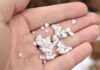 graupel misiones