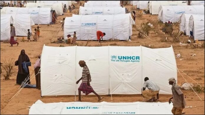 Mayor crisis mundial por refugiados desde la Segunda Guerra Mundial