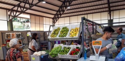 mercados concentradores de Misiones