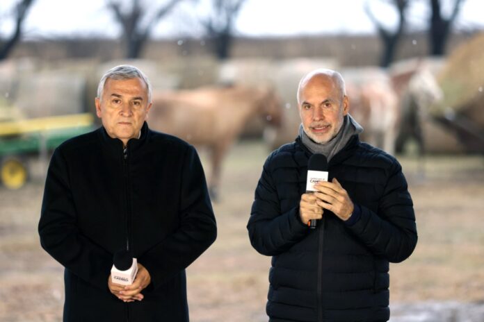 larreta (7) larreta