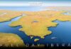 full day Iberá Esteros del Iberá