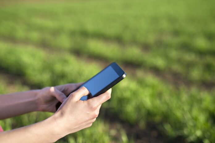 IA Periodismos Agropecuario periodismo agropecuario