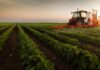 Agro en Argentina