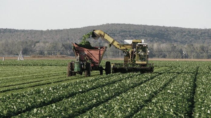 agroindustria en Argentina