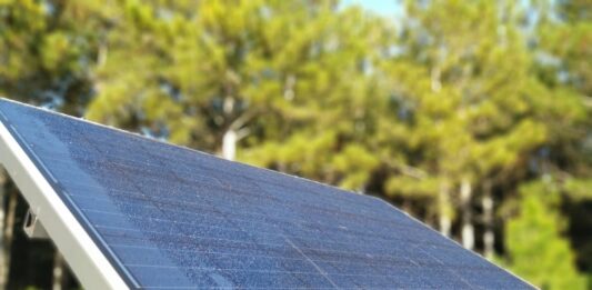 energía solar en la agroindustria