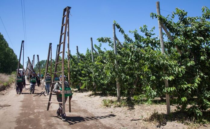 renatre trabajo rural