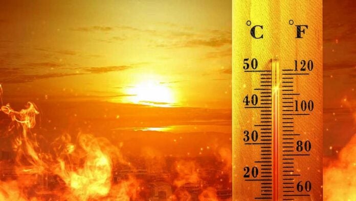 Ola de calor timepo en misiones ola de calor en Misiones