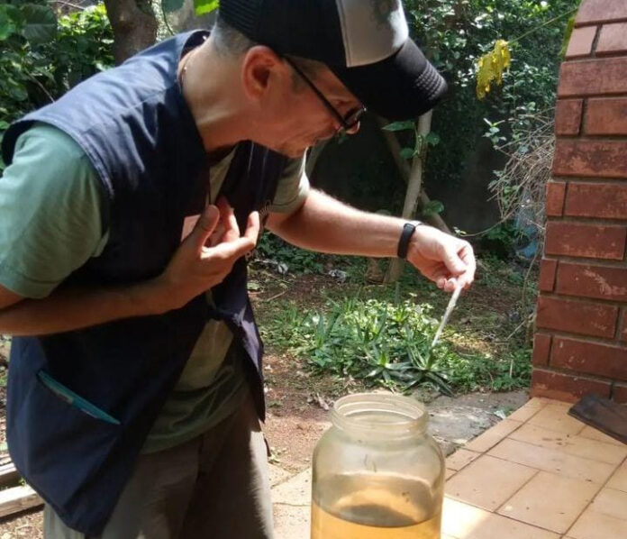 Aedes aegypti operativo liraa