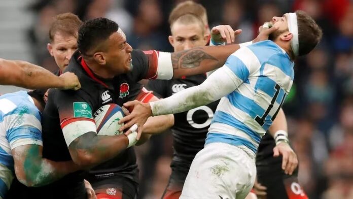 Los pumas