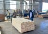foresto-industria de Misiones