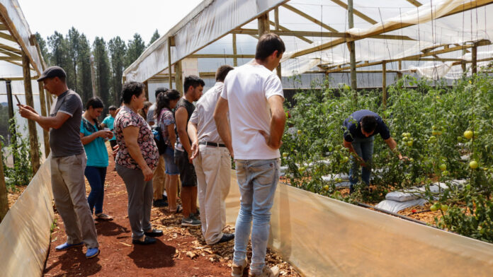 Centro de Producción y Validación de Tecnologías Hortícolas