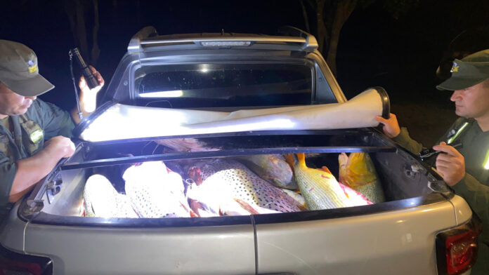 decomisan pescado