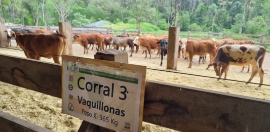 IPCVA en Misiones