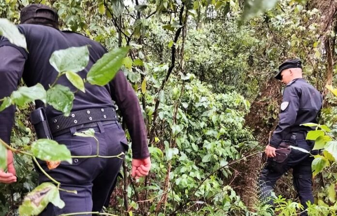 menores desaparecidos en San Pedro