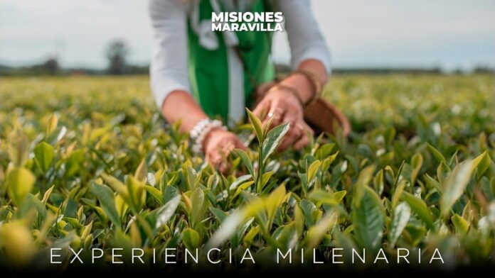 Experiencia milenaria