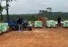 Megaoperativo en Puerto Iguazú