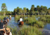 Portal Galarza en Esteros del Iberá