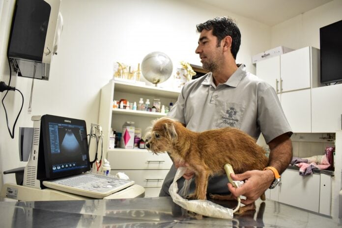 Veterinaria Itati-3