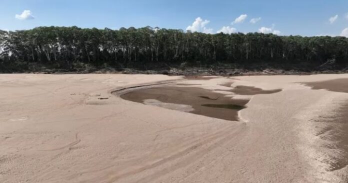 afluente del río amazonas