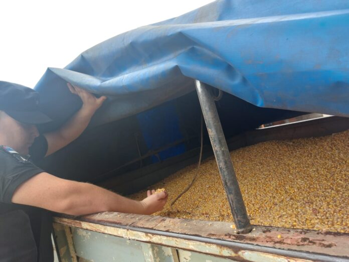 toneladas de granos en un mes en Misiones