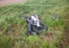 motociclista falleció en un choque