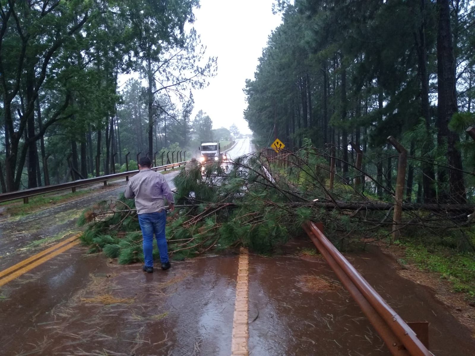 Un árbol caído interrumpió el tránsito sobre Ruta Nacional 14 en Salto Encantado