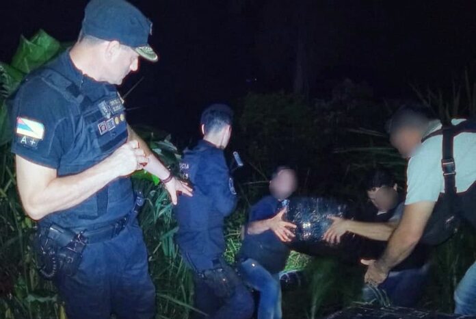 incautan marihuana marihuana
