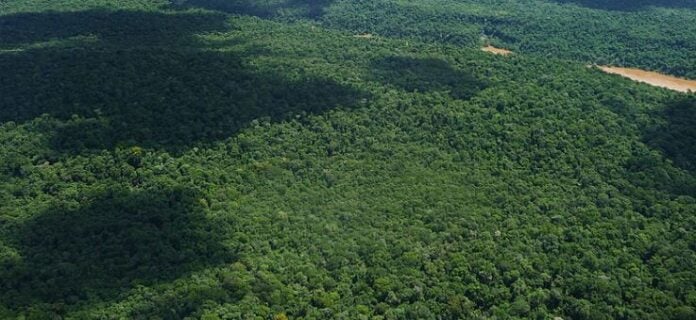 Advierten que la extranjerización de tierras pone en riesgo el Acuífero Guaraní, una de las mayores reservas de agua dulce del mundo que se extiende bajo Misiones
