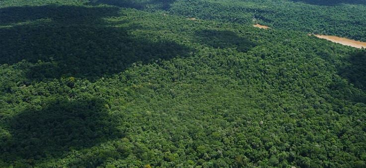 Advierten que la extranjerización de tierras pone en riesgo el Acuífero Guaraní, una de las mayores reservas de agua 