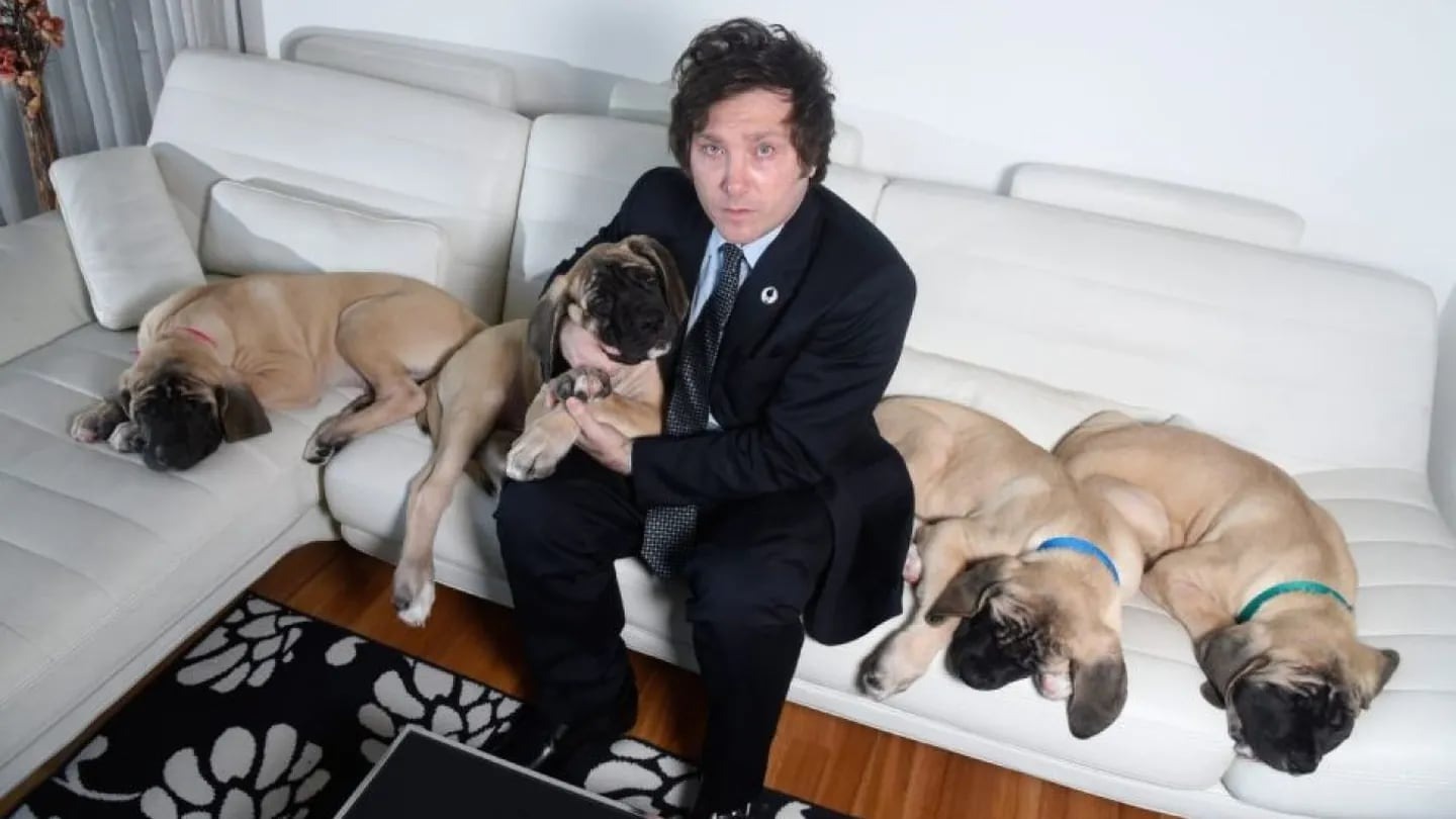 Javier Milei junto a sus cuatro perros clonados (Foto: Caras).