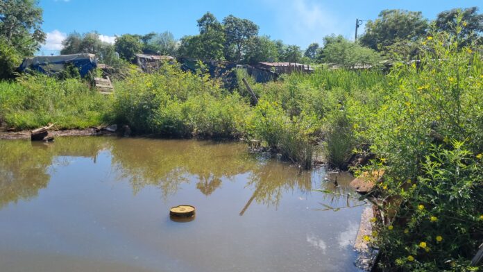 laguna los oleritos