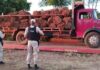 tabaco en Misiones