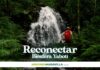 reconectar reserva yaboti - misiones maravilla evt
