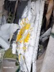 Avión que se estrelló en la Antártida