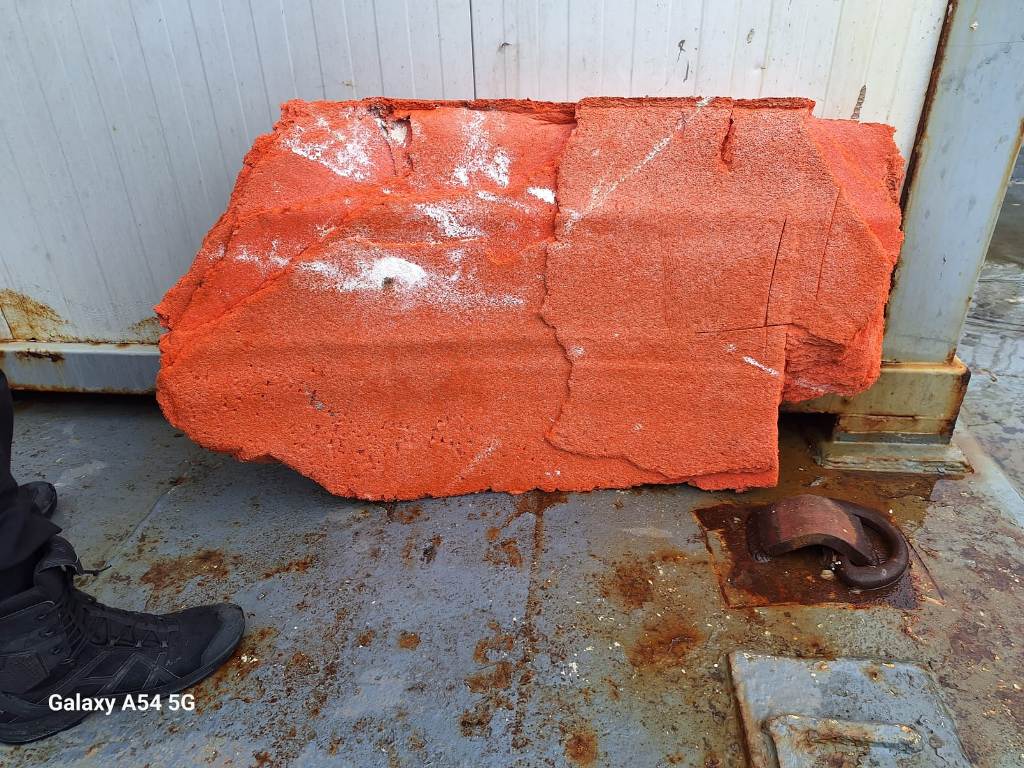 Avión que se estrelló en la Antártida