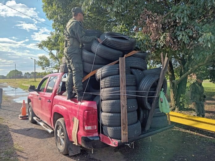 neumáticos de contrabando