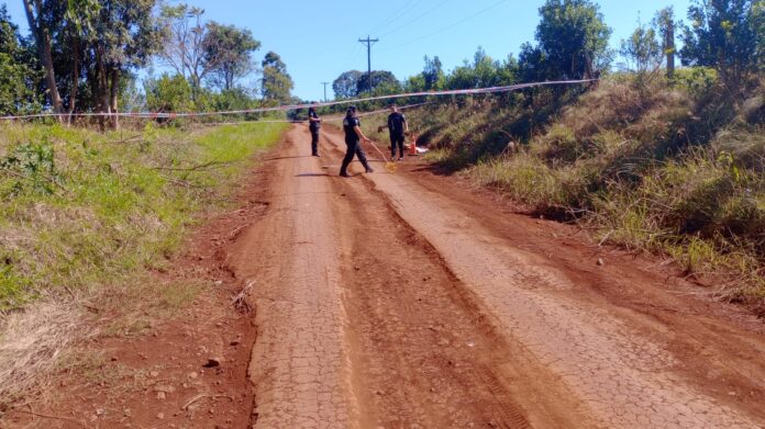 pitbulls que mataron a expolicía