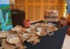 artesanía mbyá guaraní