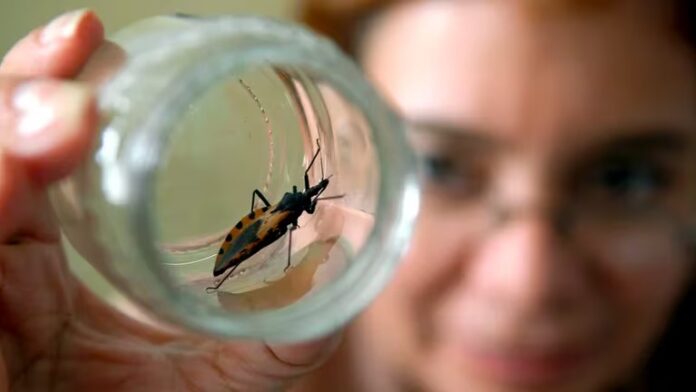 Día Mundial del Chagas