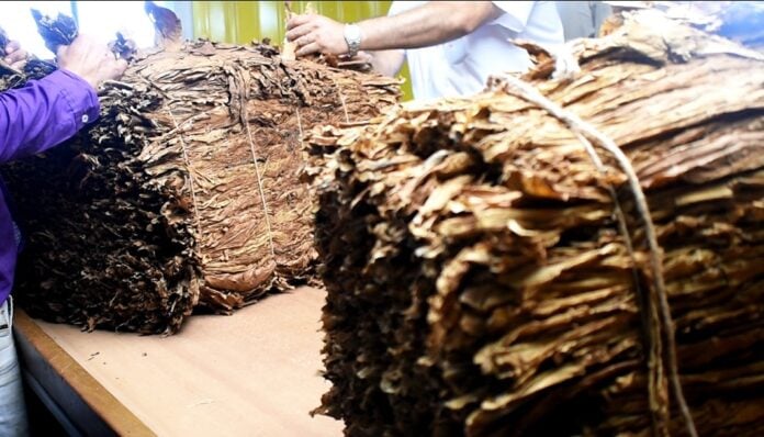 Pago a tabacaleros impuesto al tabaco FET