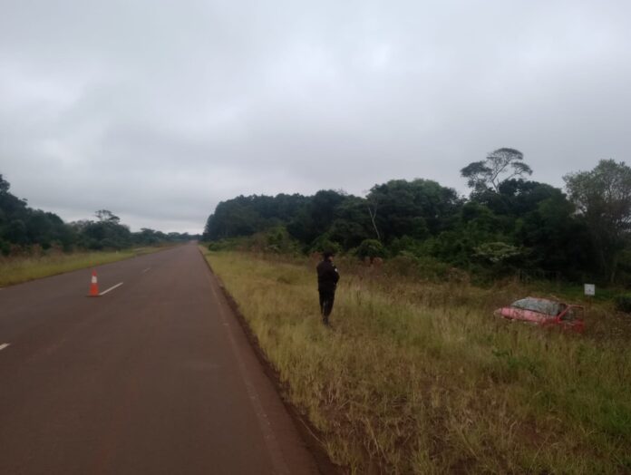 despiste en campo grande