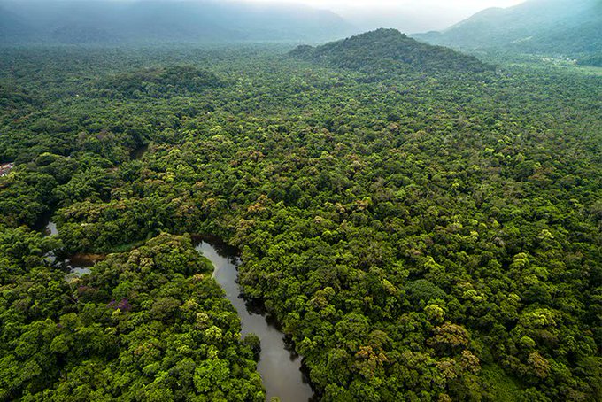 Bono de Biodiversidad Comandante Andresito será sede de una nueva edición del festival “Somos la Selva”