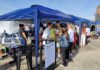 ecoferia