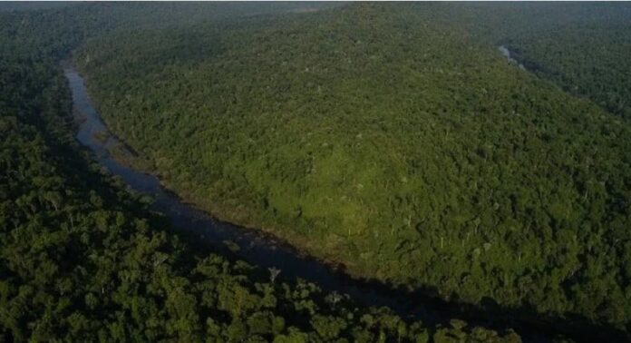 Ministerio de Ecología de Misiones