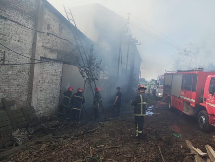 Se incendió un secadero en Los Helechos