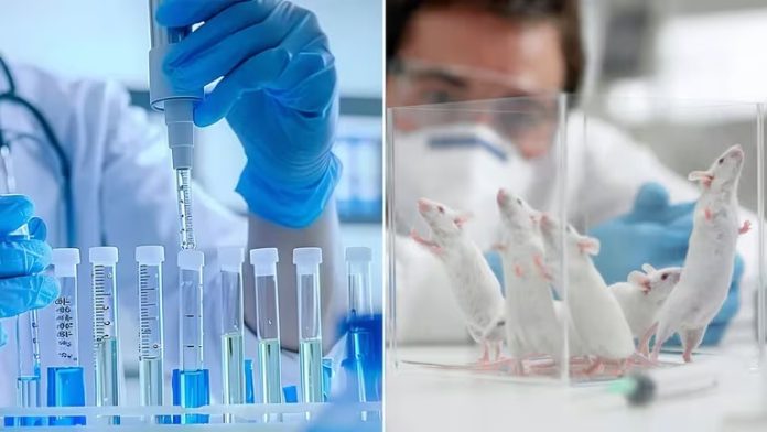droga anti-envejecimiento