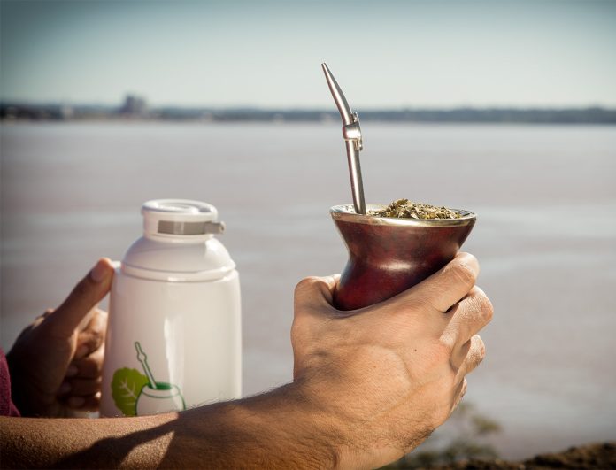 yerba mate
