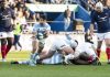 los pumas
