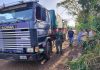 soja