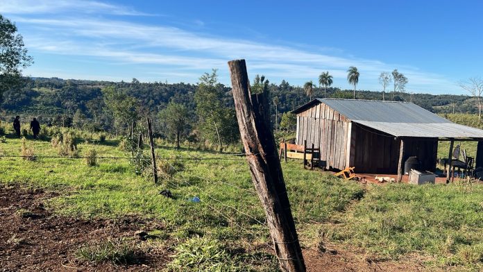 Hallaron parte del cuerpo de un hombre en una chacra de Misiones